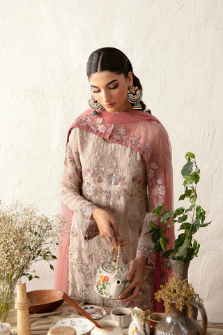 Ready To Wear Rangoon Chiffon Embroidered Collection By Ramsha D-1212