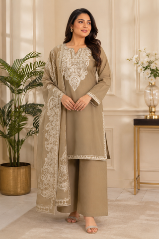 Ladies khaki palazzo pants salwar suit full view 